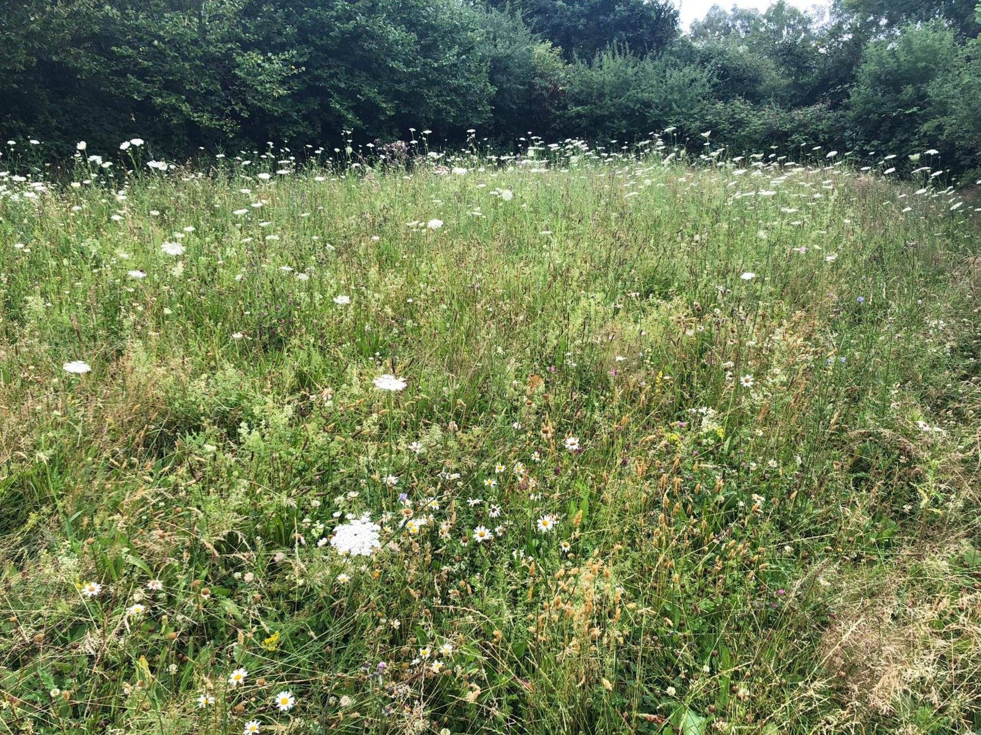 Erholung Auf Dem Land Zwischen Ostsee Und Schlei Stoltebüll エクステリア 写真